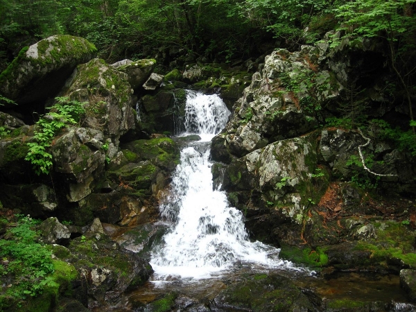 Где находятся Смольные водопады в Приморском крае, описание и как добраться