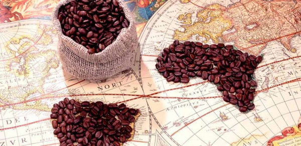 
                                История появления кофе – из Эфиопии по всему свету                            