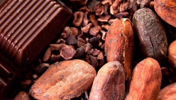 
                                Как выбрать натуральный какао-порошок                            