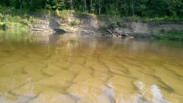 Самостоятельные сплавы и водные путешествия глазами Дмитрия Кобца