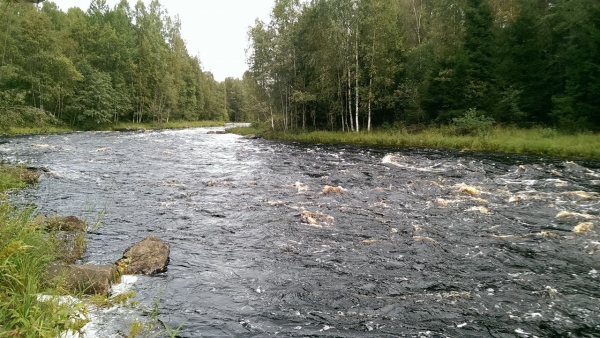 Самостоятельные сплавы и водные путешествия глазами Дмитрия Кобца