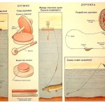 Энциклопедия юного рыболова в картинках