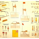 Энциклопедия юного рыболова в картинках