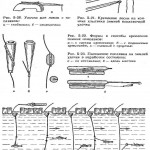 Энциклопедия юного рыболова в картинках