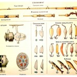 Энциклопедия юного рыболова в картинках