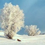 Национальный парк Водлозерский