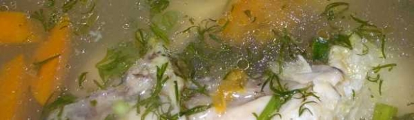 Рыбная кухня  Первые блюда Супы