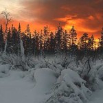 Воньгомский  Ладвинский  Тулокский заказники